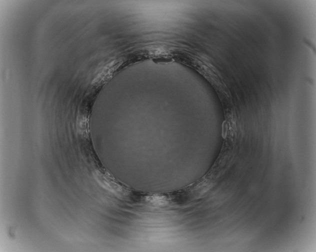 X0000102370419200808221743