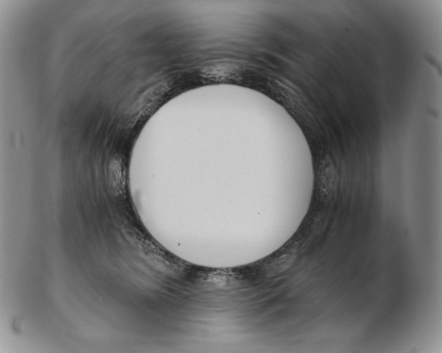 X0000102370420200808221743