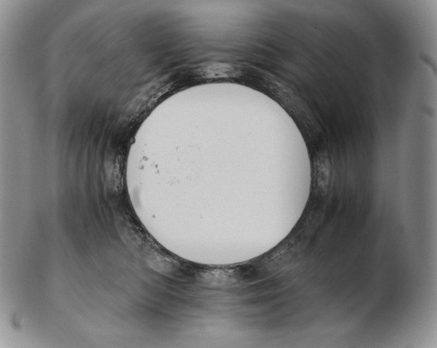 X0000102370422200808221743