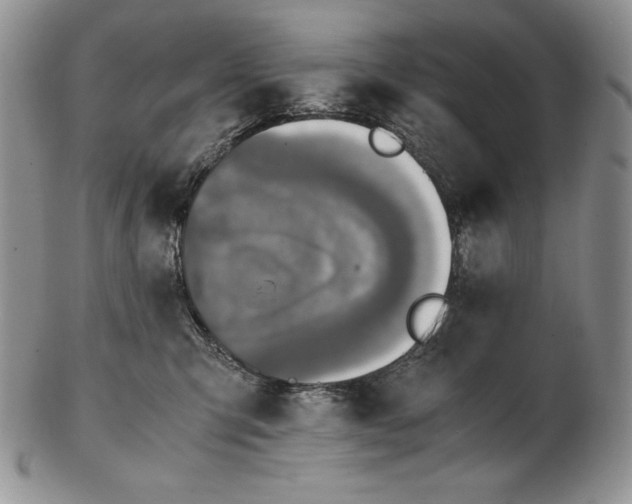 X0000102370423200808221743