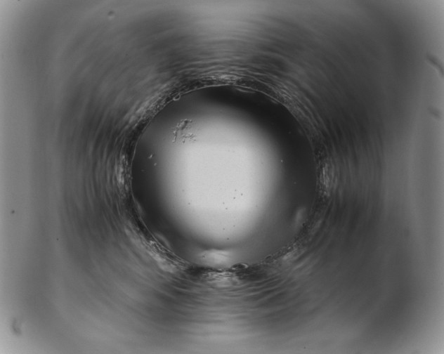 X0000102370424200808221743