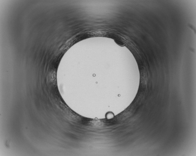 X0000102370425200808221743