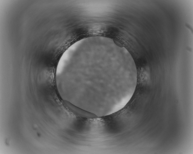 X0000102370427200808221743