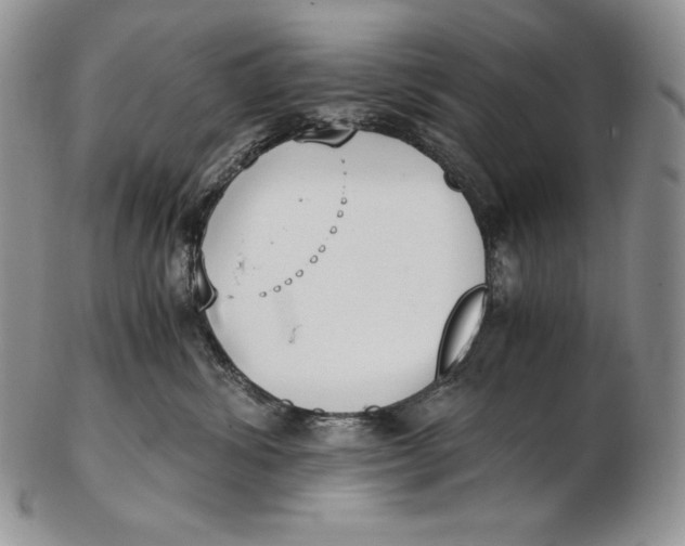 X0000102370428200808221743