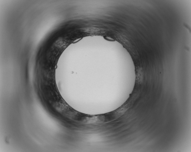 X0000102370430200808221743