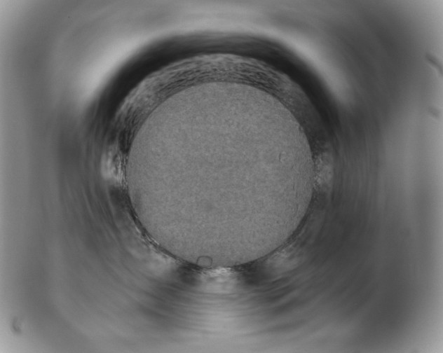 X0000102370431200808221743