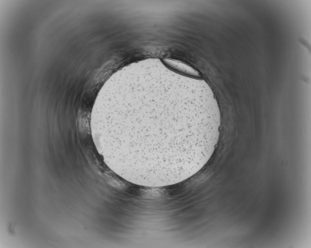 X0000102370432200808221743