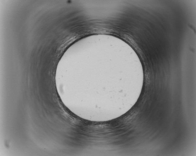 X0000102370433200808221743