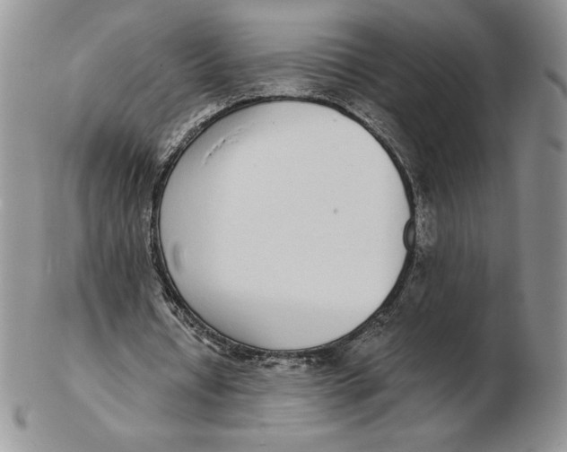 X0000102370434200808221743