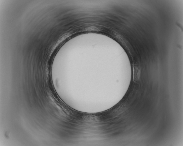 X0000102370435200808221743