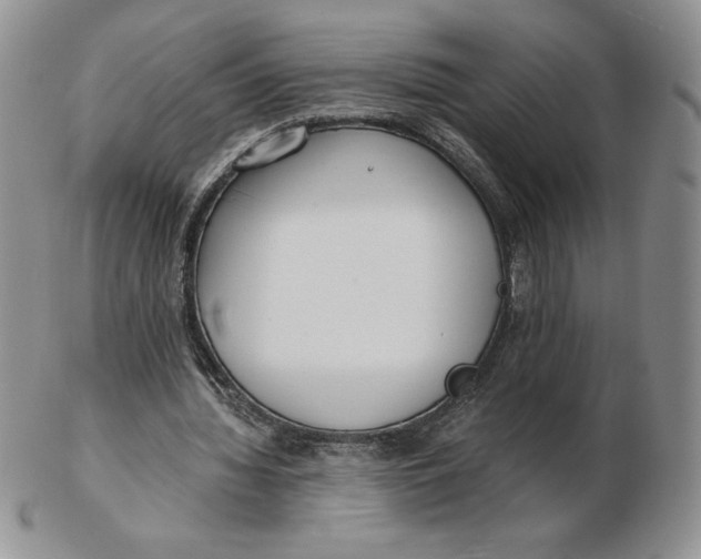 X0000102370436200808221743