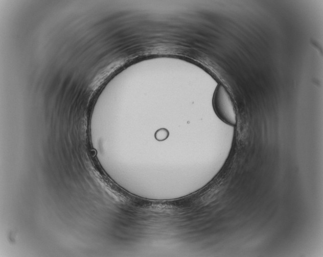 X0000102370437200808221743