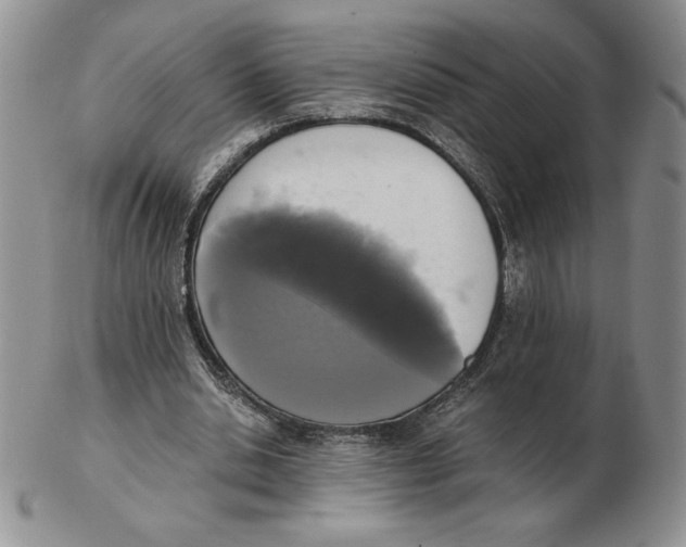 X0000102370438200808221743