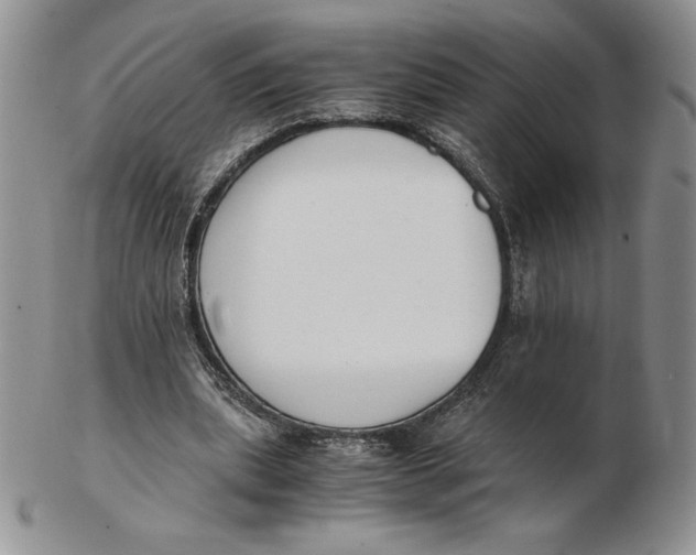 X0000102370439200808221743