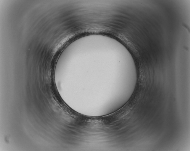 X0000102370440200808221743