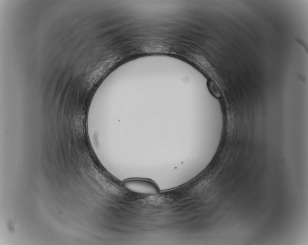 X0000102370441200808221743