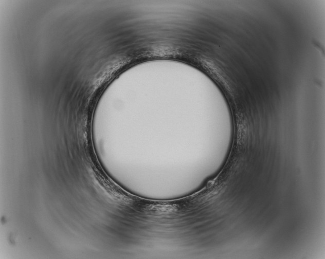 X0000102370443200808221743