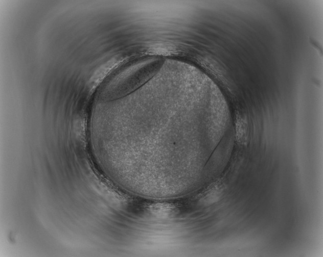 X0000102370444200808221743