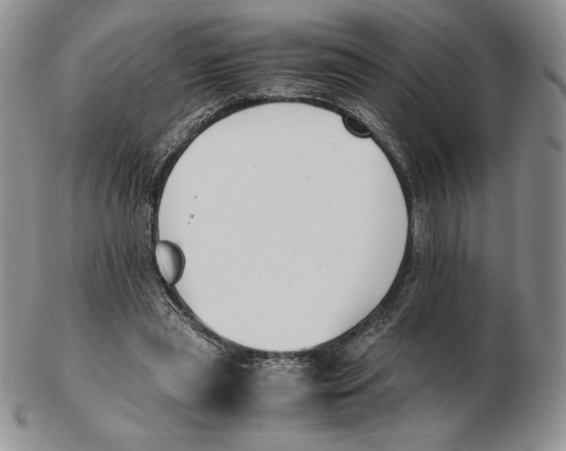 X0000102370445200808221743