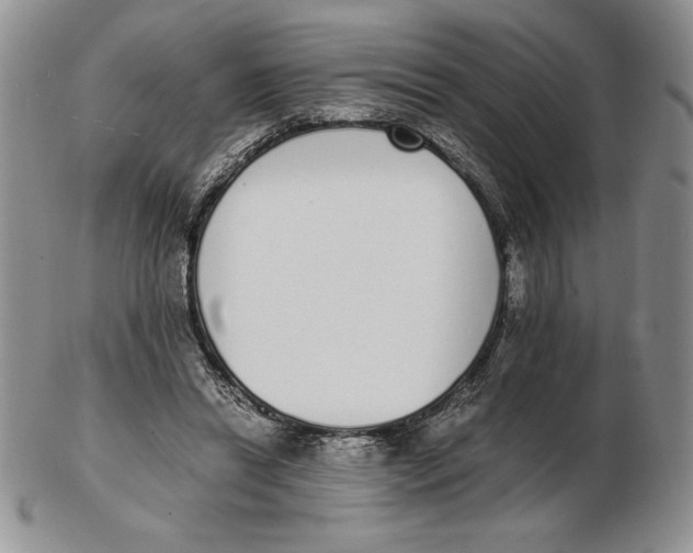 X0000102370446200808221743