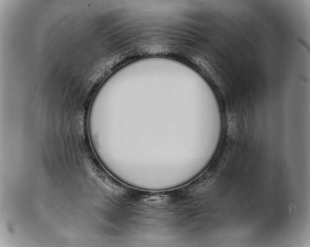 X0000102370447200808221743