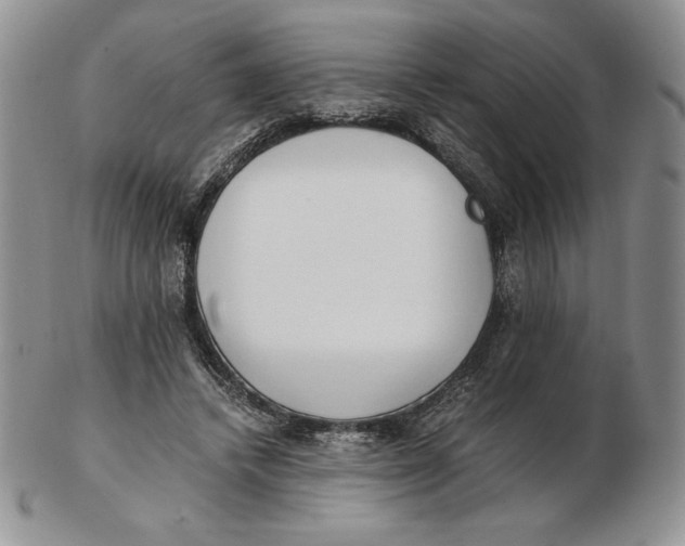 X0000102370448200808221743