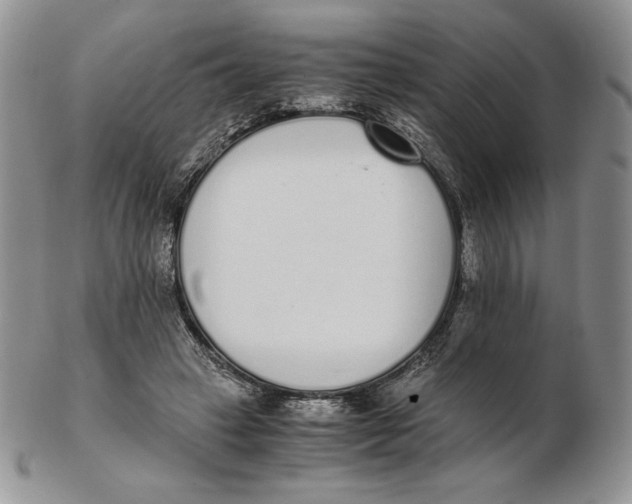 X0000102370449200808221743