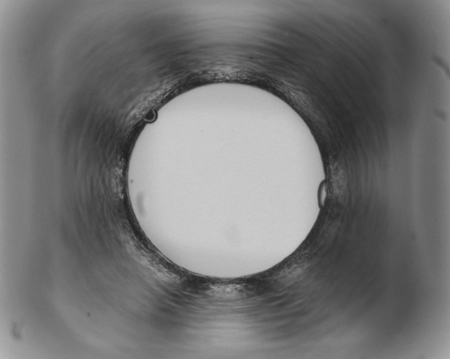 X0000102370450200808221743