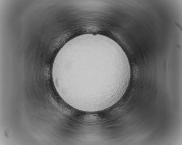 X0000102370451200808221743