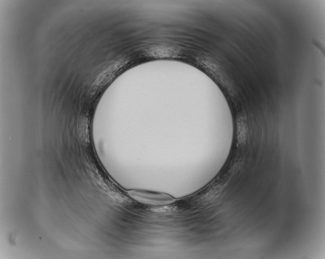 X0000102370453200808221743