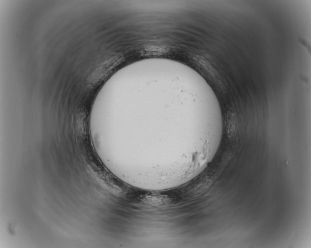 X0000102370455200808221743