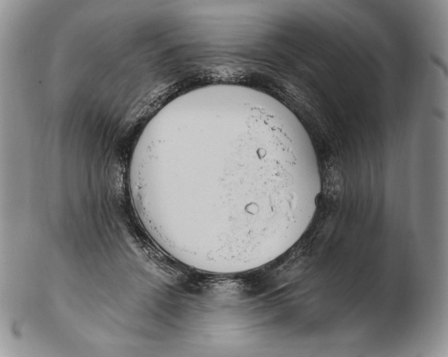 X0000102370456200808221743