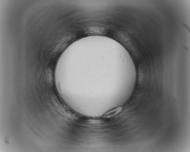 X0000102370457200808221743