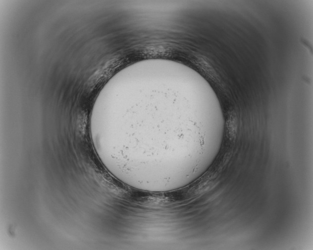 X0000102370458200808221743