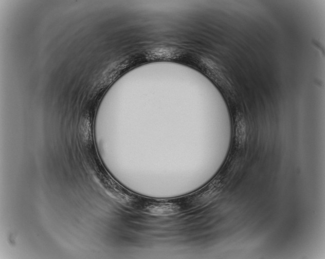 X0000102370459200808221743