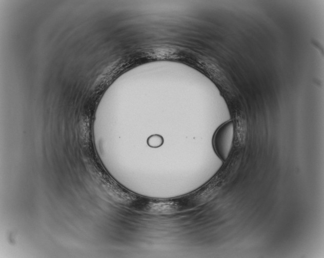 X0000102370461200808221743