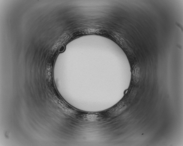 X0000102370462200808221743