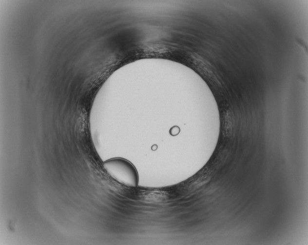 X0000102370463200808221743