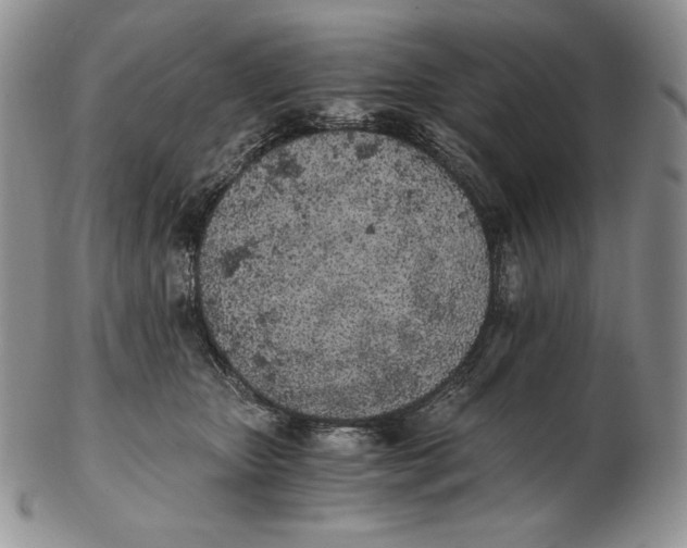 X0000102370467200808221743