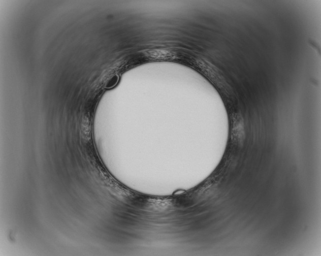 X0000102370469200808221743