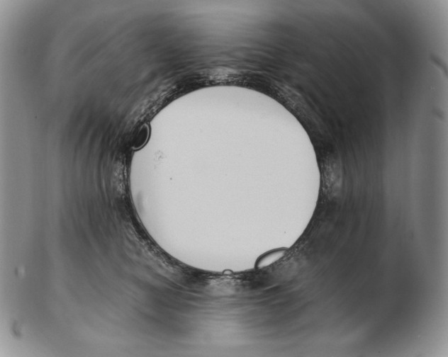 X0000102370470200808221743