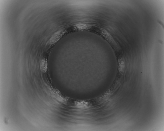 X0000102370471200808221743