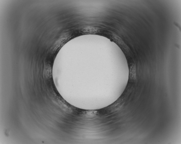 X0000102370474200808221743