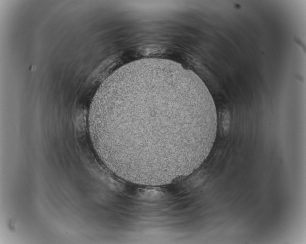 X0000102370475200808221743