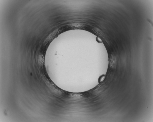 X0000102370476200808221743