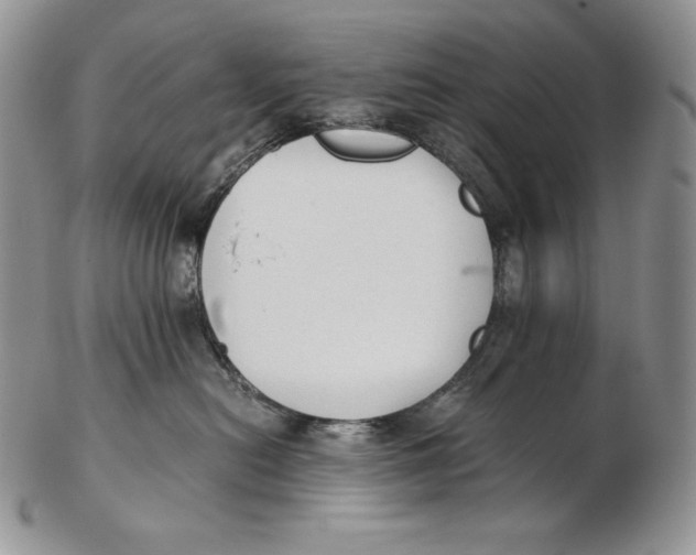 X0000102370478200808221743