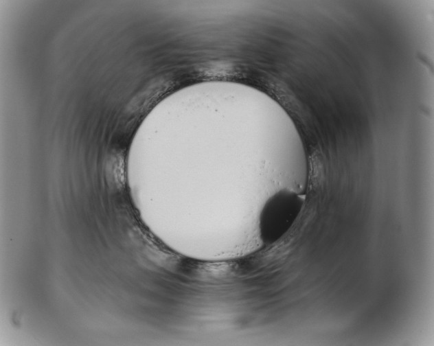 X0000102370479200808221743