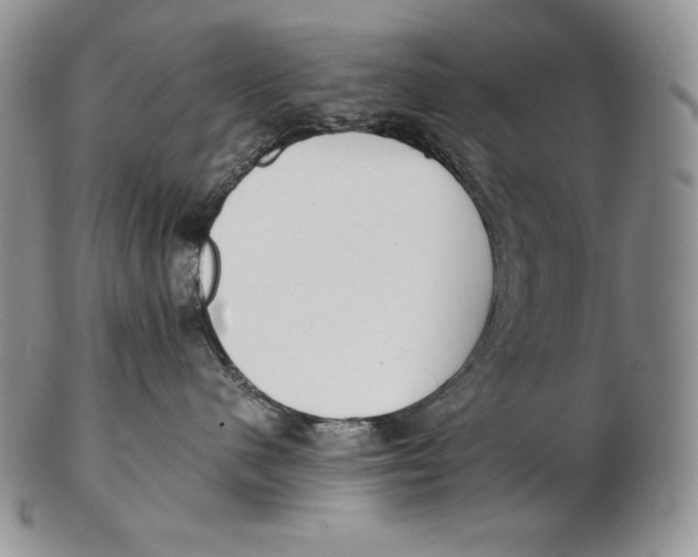 X0000102370480200808221743