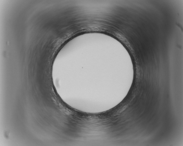 X0000102370481200808221743