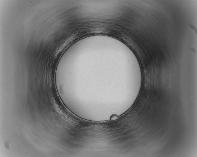 X0000102370482200808221743